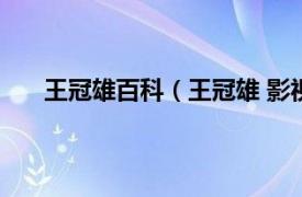 王冠雄百科（王冠雄 影视工作者相关内容简介介绍）