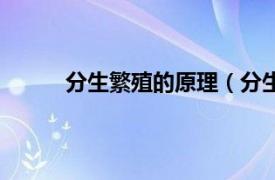 分生繁殖的原理（分生繁殖相关内容简介介绍）