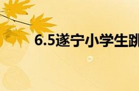 6.5遂宁小学生跳楼案相关内容简介