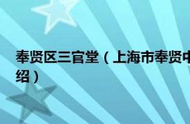 奉贤区三官堂（上海市奉贤中学附属三官堂学校相关内容简介介绍）