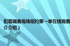 犯罪调查现场纽约第一季在线观看（犯罪现场调查：纽约第一季相关内容简介介绍）