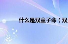 什么是双童子命（双童图相关内容简介介绍）