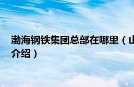 渤海钢铁集团总部在哪里（山东渤海钢铁有限公司相关内容简介介绍）