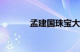 孟建国珠宝大盗相关内容简介