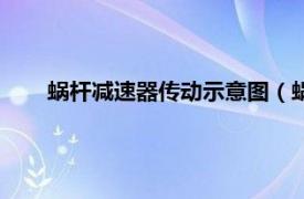 蜗杆减速器传动示意图（蜗杆减速器相关内容简介介绍）