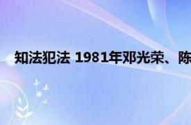 知法犯法 1981年邓光荣、陈惠敏主演电影相关内容简介介绍