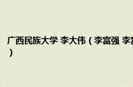 广西民族大学 李大伟（李富强 李富强 广西民族大学教授相关内容简介介绍）