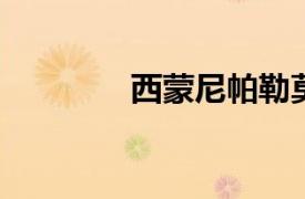 西蒙尼帕勒莫相关内容介绍