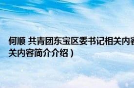 何顺 共青团东宝区委书记相关内容简介介绍（何顺 共青团东宝区委书记相关内容简介介绍）