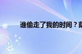 谁偷走了我的时间？萨顶顶/常远演唱歌曲介绍