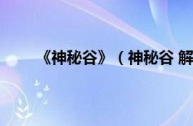 《神秘谷》（神秘谷 解密游戏相关内容简介介绍）