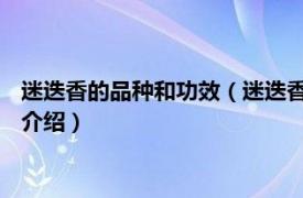 迷迭香的品种和功效（迷迭香 唇形科迷迭香属植物相关内容简介介绍）