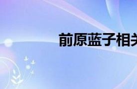 前原蓝子相关内容简介介绍