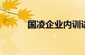 国凌企业内训讲师相关内容简介