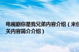 电视剧你是我兄弟内容介绍（米佳 电视剧《我要和你做兄弟》中的角色相关内容简介介绍）