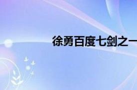 徐勇百度七剑之一振宇教育基金发起人