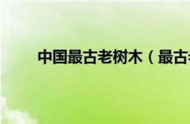 中国最古老树木（最古老树木相关内容简介介绍）