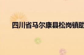 四川省马尔康县松岗镇助理农业经济师相关内容介绍