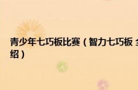 青少年七巧板比赛（智力七巧板 全国青少年科技竞赛器材相关内容简介介绍）