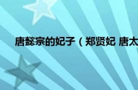 唐懿宗的妃子（郑贤妃 唐太宗妃嫔之一相关内容简介介绍）