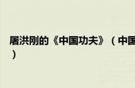 屠洪刚的《中国功夫》（中国功夫 屠洪刚专辑相关内容简介介绍）