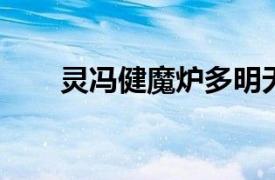 灵冯健魔炉多明无敌版相关内容简介