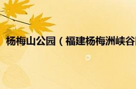 杨梅山公园（福建杨梅洲峡谷国家森林公园相关内容简介介绍）