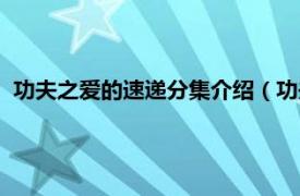 功夫之爱的速递分集介绍（功夫之爱的速递相关内容简介介绍）