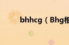 bhhcg（Bhg相关内容简介介绍）