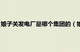 娘子关发电厂是哪个集团的（娘子关发电厂志相关内容简介介绍）