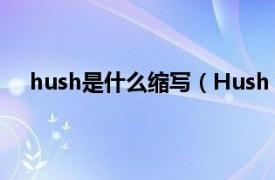 hush是什么缩写（Hush 英语单词相关内容简介介绍）