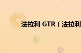 法拉利 GTR（法拉利GTO相关内容简介介绍）