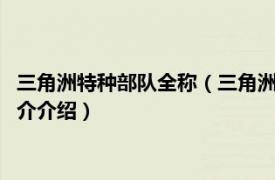 三角洲特种部队全称（三角洲特种部队4：近战突击队相关内容简介介绍）