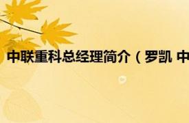 中联重科总经理简介（罗凯 中联重科副总裁相关内容简介介绍）