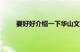 要好好介绍一下华山文艺出版社2011年出版的书