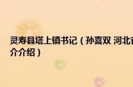 灵寿县塔上镇书记（孙喜双 河北省石家庄市灵寿县塔上镇镇长相关内容简介介绍）