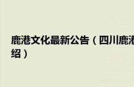 鹿港文化最新公告（四川鹿港文化传播有限公司相关内容简介介绍）