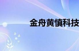 金舟黄慎科技首席执行官简介