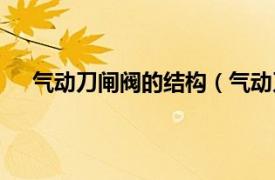 气动刀闸阀的结构（气动刀型闸阀相关内容简介介绍）