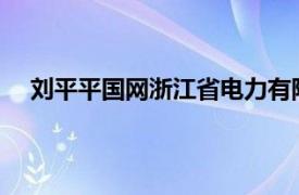 刘平平国网浙江省电力有限公司湖州供电公司员工简介