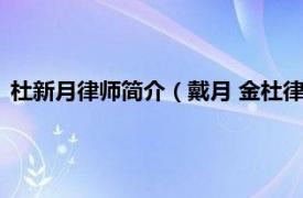 杜新月律师简介（戴月 金杜律师事务所律师相关内容简介介绍）