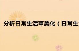 分析日常生活审美化（日常生活审美化研究相关内容简介介绍）