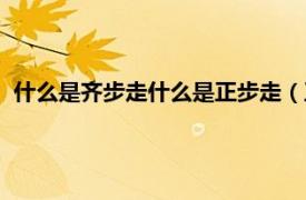 什么是齐步走什么是正步走（正步走齐步走相关内容简介介绍）