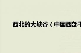 西北的大峡谷（中国西部千里大峡谷相关内容简介介绍）