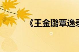 《王金璐覃逸录》相关内容简介