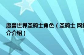 魔兽世界圣骑士角色（圣骑士 网络游戏《魔兽世界》中的职业相关内容简介介绍）