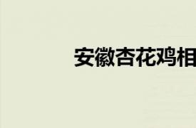 安徽杏花鸡相关内容简介介绍