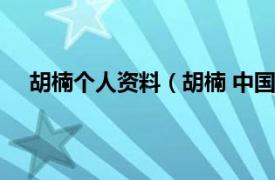 胡楠个人资料（胡楠 中国籍艺术家相关内容简介介绍）