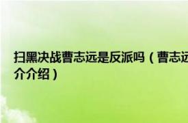 扫黑决战曹志远是反派吗（曹志远 电影《扫黑决战》中的角色相关内容简介介绍）