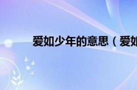 爱如少年的意思（爱如少年相关内容简介介绍）